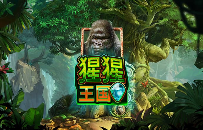 开元8888vip棋牌ios